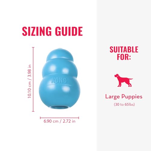 Image of KONG Puppy Chew Toy, Soft & Durable Natural Rubber Fetch Toy for Dogs, Stuff Dog Treats, Interactive Treat Dispenser & Erratic Bounce, for Teething, Crate Training, Assorted Blue /Pink, Large
