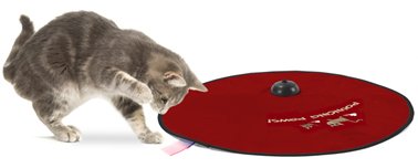 KITTY CITY Pouncing Paws - Motorized Cat Toy