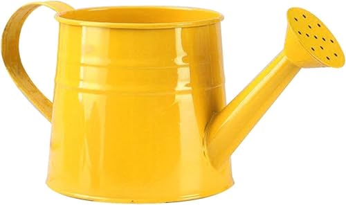 Gießkanne klein für den Zimmerpflanzen 1L, Blumengießkanne aus Metall, Giesskanne Pflanzengießkanne, kleine Gießkanne, Gartengießkanne Watering Can Blumentöpfe Kleine Vasen Gartenwerkzeug (Gelb) Gießkanne klein für den Zimmerpflanzen 1L, Blumengießkanne aus Metall, Giesskanne Pflanzengießkanne, kleine Gießkanne, Gartengießkanne Watering Can Blumentöpfe Kleine Vasen Gartenwerkzeug (Gelb)
