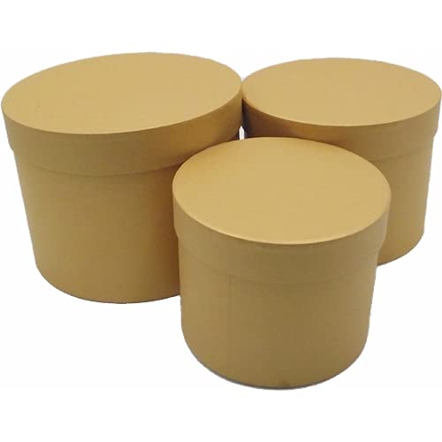 INERRA Flower Hat Boxes Florist Box Vase - Set of 3 (Gold), Small, Medium, Large
