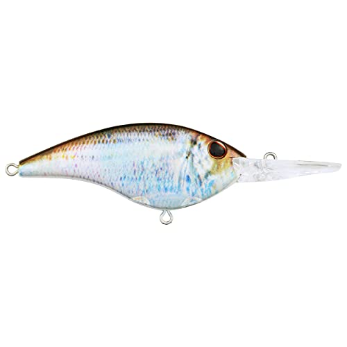 Berkley Frittside Fishing Hard Bait, HD Blueback Herring, 2 3/4in - 9 (1/2 oz)