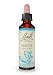 Produktbild Bach Original Beech Flower Remedy 20ml, 100 g