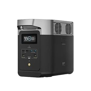 EcoFlow DELTA 2 Draagbaar elektriciteitsstation, LFP-batterij, snel opladen, zonnegenerator voor noodstroomvoorziening thuis, balkon, camping en campers (gereviseerd)