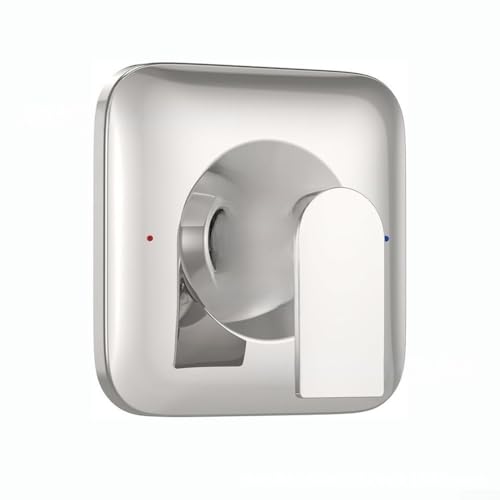 Pommeau de douche effet pluie compatible robinetterie standard D