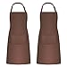 2 Pezzi Grembiule Cucina per Uomo Donna, Grembiuli da Barbecue Impermeabile con 2 Tasche, Grembiule Pittura Regolabile Adulti per la Cottura, Giardinaggio