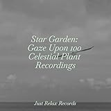 Just Relax Records