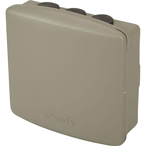 Somfy 2400556 - Récepteur Portail/Porte de Garage extérieur Universel | Technologie RTS