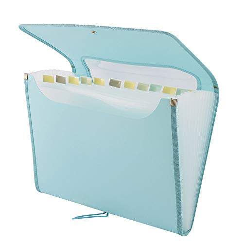 D.RECT 5590 Carpeta de archivos extensible A4 | Acordeón Carpeta