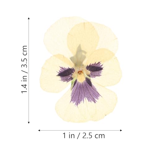 Flores secas prensadas para manualidades 36 pcs miniatura 2