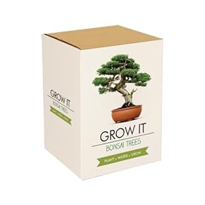 Gift Republic Grow It cadeauset Bonsai-plantenset