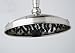 Rohl BI00700STN Michael Berman 9 Inch Showerhead Satin Nickel