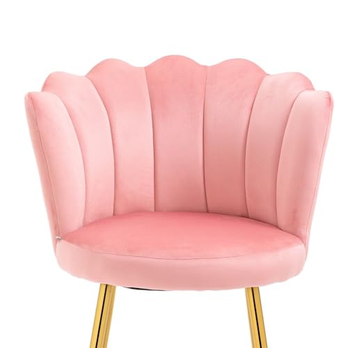 Image of Set of 2 Accent Chair for Living Room | Modern Armchair in Soft Velvet Fabric with Sturdy Legs | Premium Chair for Home Living Room Bedroom Restaurent | (Flower Design, Baby Pink)