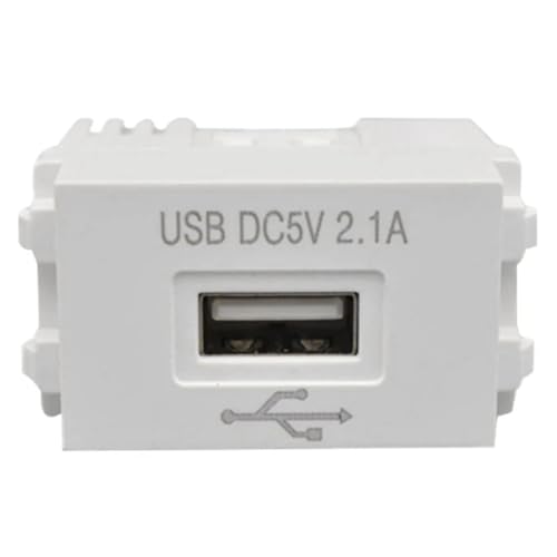 Iegefirm Handy-Ladepanel 220V-Buchse 5V-Transformator 2,1A USB-Ladesteckdose Schaltadapter 1 Stück