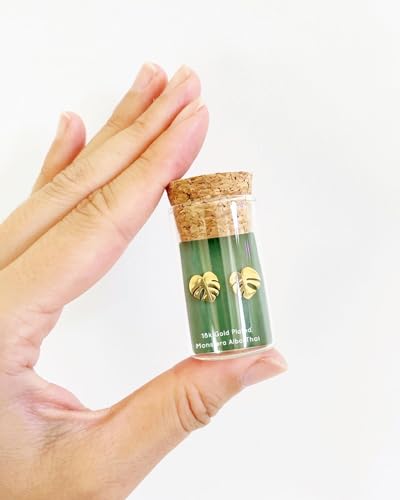 Monstera Albo Thai Constellation Stud Earrings – Houseplant-Nature-inspired Jewelry – Stainless Steel – 18k Gold Plated – 18k Rose-Gold Plated – Cute Glass Jar Packaging – Plastic-Free2