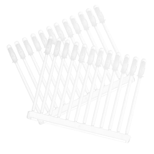 HAWILLOSCH 24 ̃tbV dCC   CLbg CANZT[ bNX ̃PA |wbhtH  Transparent