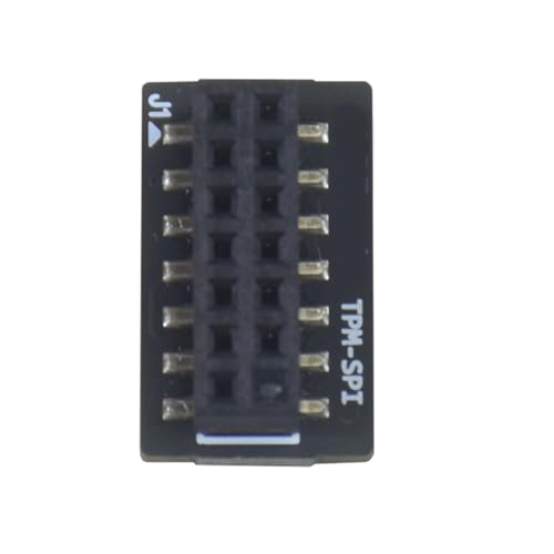 TPM SPI Secure 14 Pin TPM Module per migliora la crittografia e la sicurezza per le schede madri