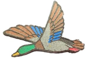 Mallard Duck: A Breath of Fresh Air