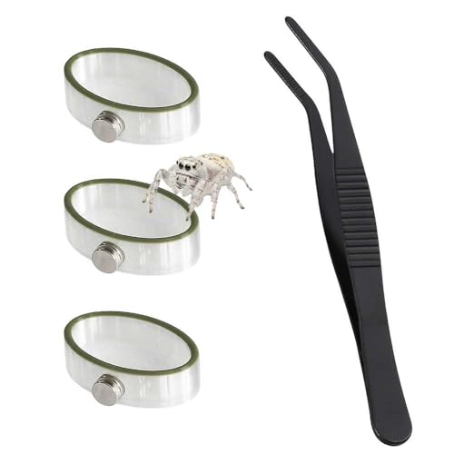 BamiriX Jumping Spider Enclosure Accessories 3 Pcs Magnetic Feeding Bowl Set with Jumping Spider Feeding Tongs Removable Feeding Station Decor for Spider Terrarium (Style 1)