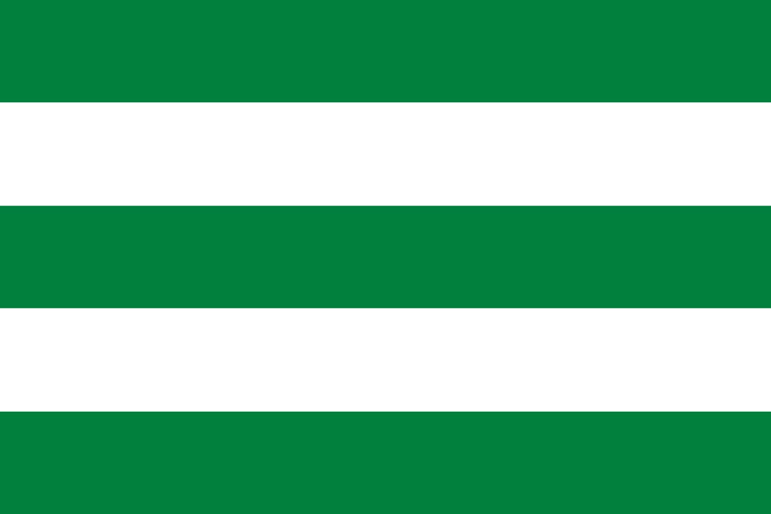 Drapeau Balzar 90x150cm résistant au vent | Pavillon paysage 1,35m²