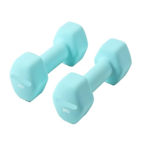 HUNTFF Mancuernas Fitness Mancuernas para Hombres y Mujeres, Equipo Fitness para el Hogar, Entrenamiento de los Músculos de los Brazos, Mancuernas hexagonales de Hierro Puro Manillar