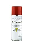 car7seven Meisterglanz, Universal Glanzspray, Pflegespray für Reifen, alle Gummidichtungen und Kunststoffteile