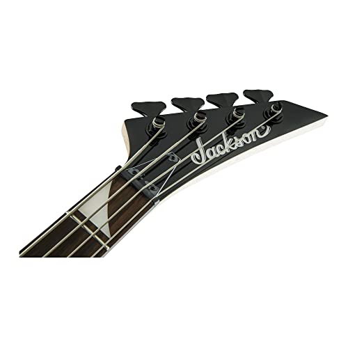 Professional Bass Guitar Starter Bundle