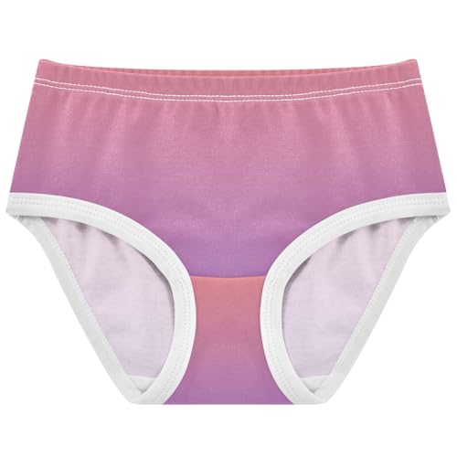 Joisal Designer Toddler Girls Underwear 2t Cotton Little Girl Panties Ombre Pink Purple Gradient Briefs Underpants