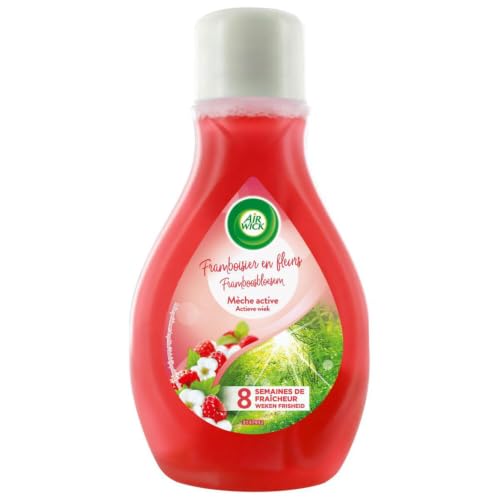 Air Wick Maison Continu - Deodorante per ambienti con stoppino attivo, fragranza lampone in fiori, 375 ml
