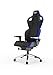 RECARO Exo FX Fauteuil Gaming I Chaise de Gamer Ergonomique avec réglage de Hauteur et accoudoirs 5D - Confort d'assise accru pour Jeu et Vie de Bureau I Fauteuil Gaming Racing Blue Plus