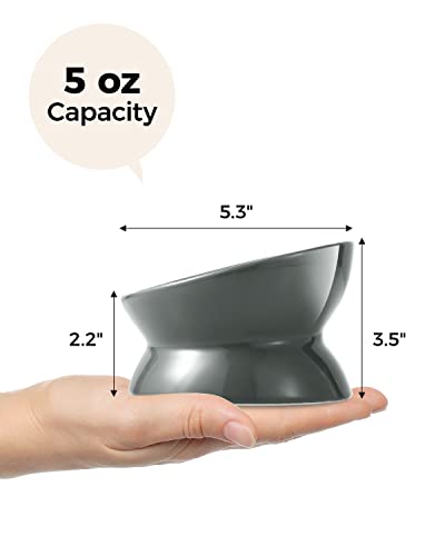 Image of LoeJan Elevated Cat Food Bowl, 5 Oz Ceramic Raised and Tilted Water Bowl, Anti Vomiting and Protect Pets' Spines Dishes for Small Dog, Fat Faced Cat, Kitten (Gray, 1 Pack)