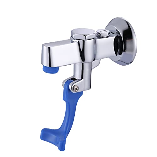 iVIGA Wall Mount Glass Filler Faucet
