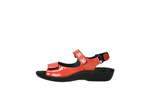 Wolky Pichu Sandal2