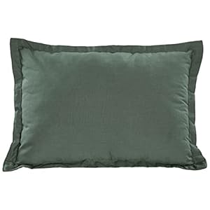 Trespass Unisex’s SNOOZEFEST Lightweight Compact Packaway Camping-Travel Pillow