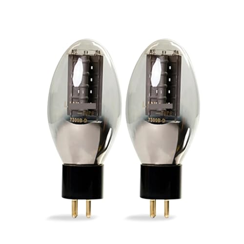 Vacuum Tube 7300B-D 7300B HiFi Audio Tube Amplifier Factory Matching(2 pcs)