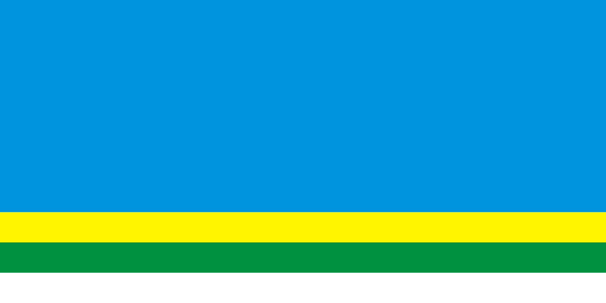 Drapeau XL Dziatłava Belarus pour décoration et célébration