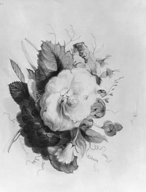 Tableau toile fleurs de Hollande SERENDIPITP, affiche d'art 60x90cm pour décoration murale