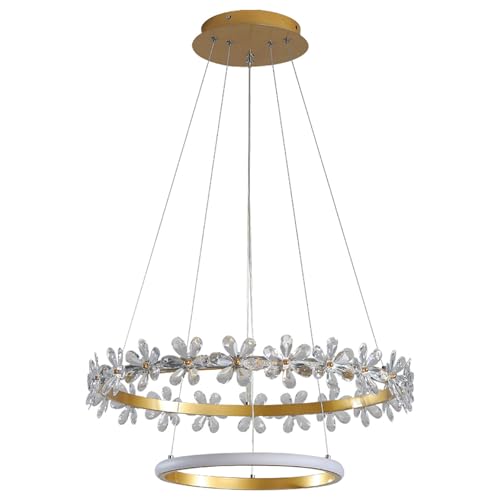 Lustre 2 anneaux LED pour remplacer un vieil éclairage de salle à manger sombre