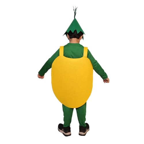 Image of Kaku Fancy Dresses Fruits Costume for Boys & Girls