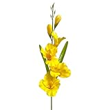 Floratexx