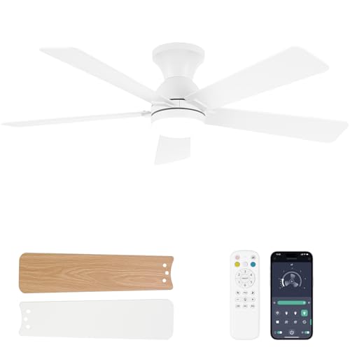 Dolavast Ceiling Fans with Lights and Remote, 48 Inch Ceiling