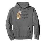 Tin Foil Hat Kitten Funny Cat Lover Government Conspiracy Pullover Hoodie