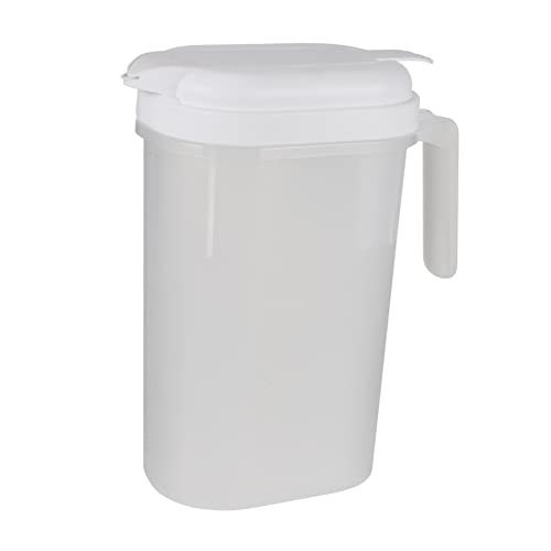 SHOWERORO Dispenser Portatile Plastica Con Filtri Brocca Per e Tè Fruttato Design Maniglia Comoda Per Cucina e Uso Quotidiano