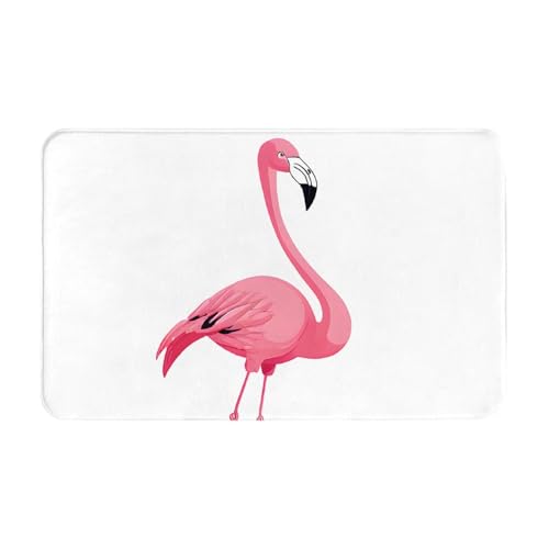 Flamingo Print Living Room Bathroom Kitchen Anti Slip and Absorbent Carpet, Indoor Entrance Door Muddy Floor Mat, Ultra Soft Washable Carpet 21x31.5 Inches