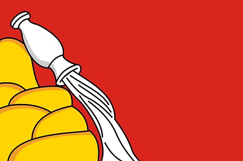 Drapeau Large Oblast de Voronej extérieur format paysage grand format - 2