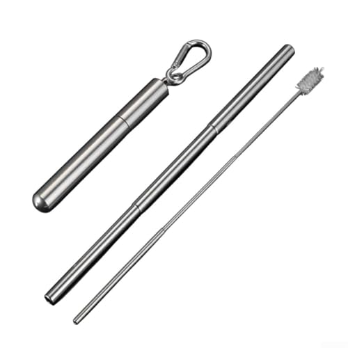 Travel Friendly Stainless Steel Straw with Cleaning Brush for Sustainable