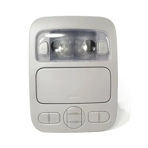 Luz de techo interior para KIA Grand Carnival 2006-2014 gris OEM 928104D000QW