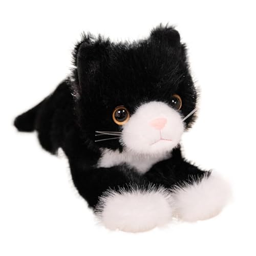 L LN^[  ӂӂ тނ L  ʂݍL L  g OєL ʂ  \ A Qp G (40cm,E)