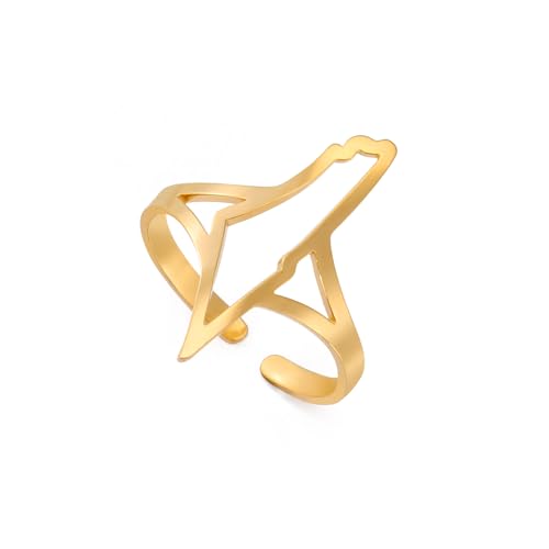 Dreamtimes Israel Palestina Mapa Dedo Anillos para Mujeres Hombres Acero Inoxidable Ajustable Anillos Abiertos País Geografía Joyería Regalo (oro-2)