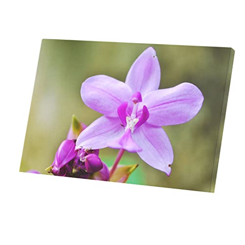 Toile Imprimée Orchidée Violette 60x40 Tableau Fleur Montagne