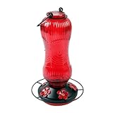 26Floz Glass Hummingbird Water Discenser幅の広い口のデザイン屋外の鳥の摂食と簡単な観測のための安全なフック